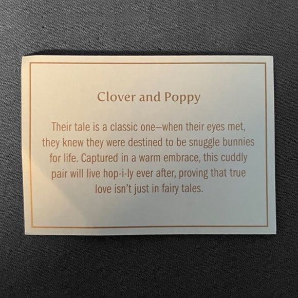 Pier 1 White Hugging Snuggle Bunnies - Picture 5 of 12